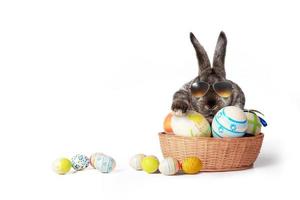 lustiger osterhase. frohes osterferienkonzept. foto