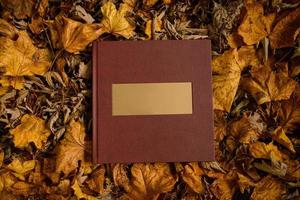 Lederbraunes Buch mit einem goldenen Namensschild auf einem Hintergrund aus braunen Blättern. Platz für Texte. Hochzeitsfotobuch. foto