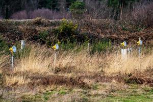 Flughafen-Landescheinwerfer im Feld foto