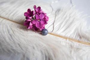 Halskette aus Naturstein mit silbernen Beschlägen mit lila-violett-lila Blüten auf weißer Straußenfeder. silberne Accessoires. foto