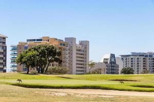 hoteleinrichtungen panorama green point park kapstadt, südafrika. foto