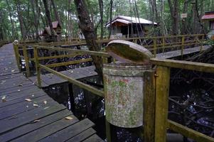 Mülleimer an Mangroven-Tourismusstandorten, damit keine Plastikabfälle und Essensreste anfallen foto