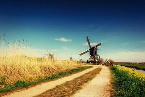 die straße, die vom kanal zu den holländischen windmühlen führt foto