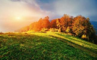 fantastische sonnige Hügel, die im Sonnenlicht leuchten. Karpaten, Ukraine foto