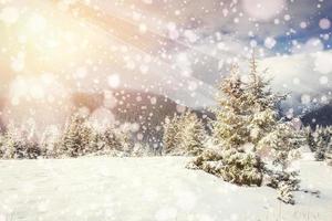 zauberhafte Winterlandschaft, Hintergrund mit einigen sanften Highlights a foto