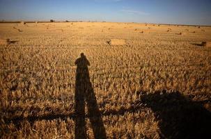 Schatten des Fotografen, der Strohballen und Stoppelfeld schießt foto