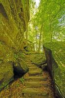 abgelegener Pfad in einer Waldschlucht foto