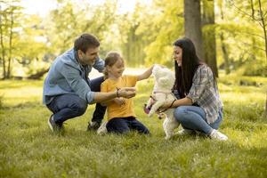 glückliche Familie mit süßem Bichon-Hund im Park foto