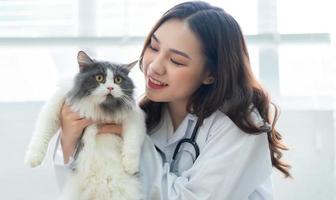 asiatische Tierärztin, die den Gesundheitszustand einer Katze untersucht foto