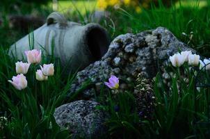 Amphore mit Blumen im Garten foto