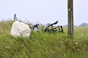 Ein alter rostiger Pflug sitzt auf einem mit Unkraut gefüllten Feld foto