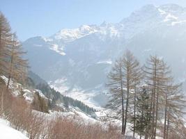 piz bernina gebirge in den schweizerischen alpen im kanton gr foto