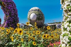 Blumen im Wundergarten von Dubai foto