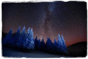 magischer Baum in der sternenklaren Winternacht - Weinleseeffekt foto