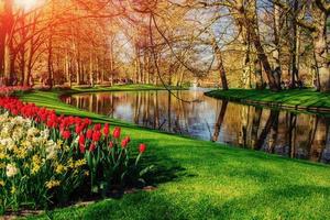 schöner Frühlingslandschaftspark. blühende Blumen foto