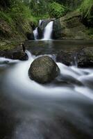 Erorjo versteckter Wasserfall in einem Wald foto