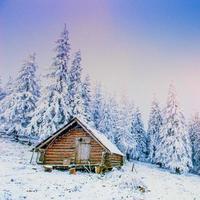 Hütte in den Bergen im Winter. foto