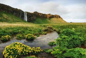 Seljalandfoss-Wasserfall. schöner sonniger sommertag foto