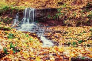 Wasserfall im Herbstsonnenlicht. Beauty-Welt. Karpaten. Ukraine. Europa foto