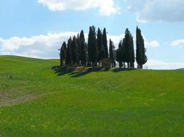 die hügel in siena foto