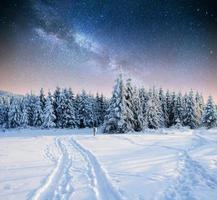 sternenhimmel in der verschneiten winternacht. fantastische Milchstraße foto