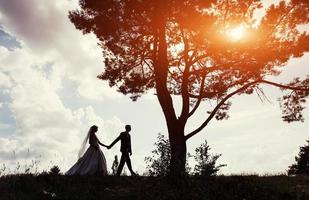 Porträt eines schönen Hochzeitspaares bei Sonnenuntergang foto