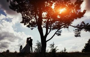 Porträt eines schönen Hochzeitspaares bei Sonnenuntergang foto