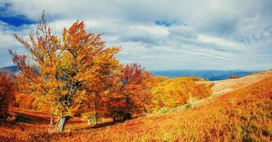 Herbstlandschaft mit Baum, bunte Jahreszeit, fallende Blätter foto