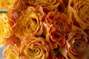 Nahaufnahme orange gelber Rosenblumenstrauß in Glasvase, grauer Hintergrund, Tageslicht.