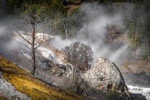 Mammoth Hot Springs im Yellowstone-Nationalpark foto