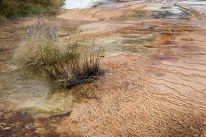 Mammut Hot Springs in Wyoming foto