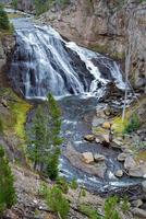 Gibbon Falls im Yellowstone-Nationalpark foto