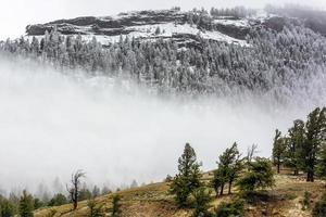 Landschaft des Yellowstone-Nationalparks foto