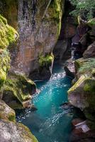 Blick in den Avalanche Creek in Montana foto