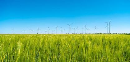 Panoramablick über die schöne landwirtschaftliche Landschaft mit grünen Weizenfeldern und Windkraftanlagen zur Erzeugung grüner Energie in Deutschland, Frühling, blauer dramatischer Regenhimmel und sonniger Tag. foto