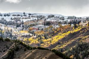 Herbstfarben in Wyoming foto
