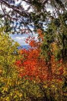 Herbstfarben in Wyoming foto