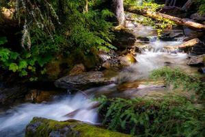 Holland Creek an einem sonnigen Herbsttag foto