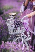 ein Strauß Lavendel in einem Korb auf einem Fahrrad in einem Lavendelfeld ein Mädchen mit einer Velispette ohne Gesicht, das im Sommer Lavendel sammelt foto