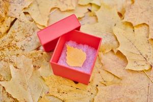 Geschenkbox mit Herbstblatt foto