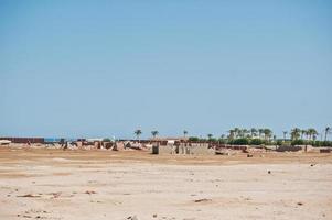 bau am sand des baus eines resorts in ägypten foto
