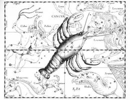 astronomische Konstellation des Krebses auf weißem Hintergrund foto