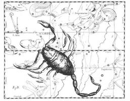 astronomische Konstellation des Skorpions auf weißem Hintergrund foto