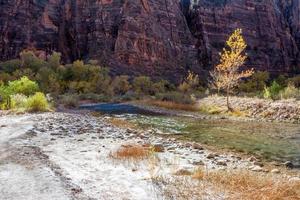 Jungfräulicher Fluss, der durch den Zion-Nationalpark Utah fließt foto