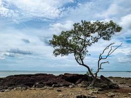 ein Panoramablick auf das Meer, die Bäume und den Himmel im Süden Thailands. foto