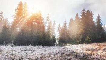 fantastisches Sonnenlicht am Morgen. Nebel im Berg foto