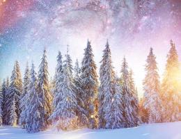 sternenhimmel in der verschneiten winternacht. fantastische Milchstraße im Neuen foto