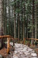 Steinpfad in einem Wald in den Bergen. morske oko, polen, europa foto