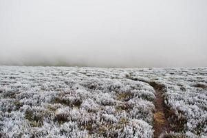 Abgenutzter Pfad auf gefrorenem Berggras mit Nebel am Horizont. foto