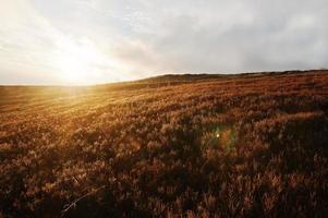 majestätischer sonnenaufgang am hügel in der berglandschaft. foto